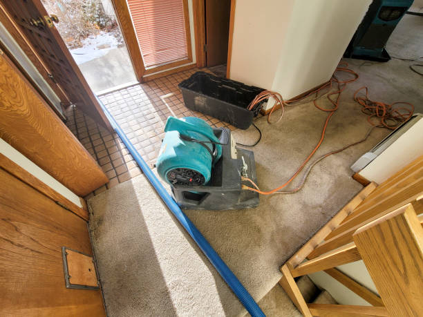 Best Water damage contractors near me  in Loveland, OH