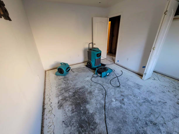 Best Water damage mitigation services  in Loveland, OH