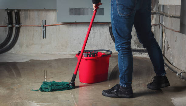 Best Water damage repair service  in Loveland, OH