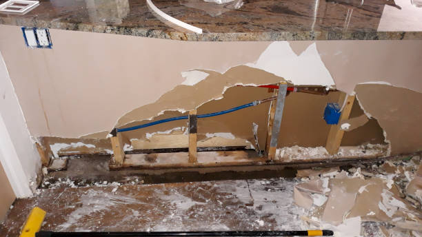 Best Flood damage cleanup  in Loveland, OH