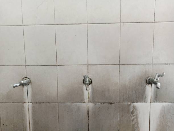 Best Carpet water damage restoration  in Loveland, OH