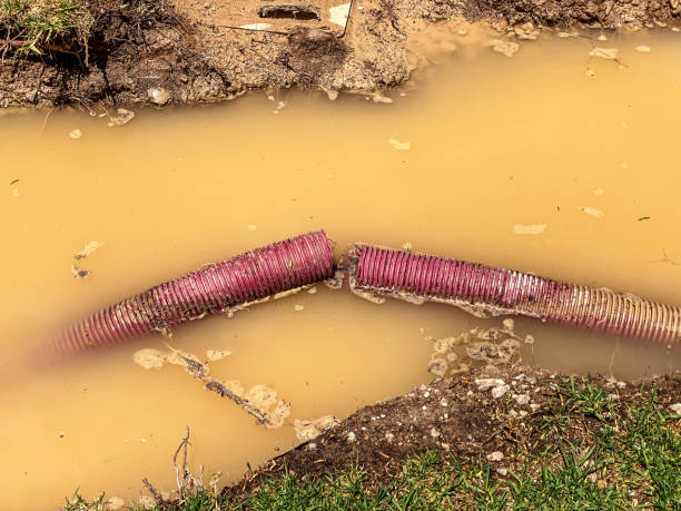 Best Water damage restoration near me  in Loveland, OH